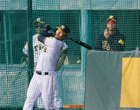 【阪神】佐藤輝明が16本、野口恭佑は14本！ランチ特打で豪快弾競演 プロ野球写真ニュース 日刊スポーツ