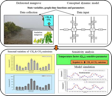 Dynamics Of Methane And Carbon Dioxide Emissions In The Reclaimed