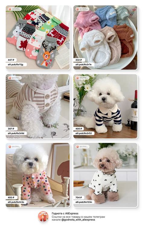 Одежда для собак и кошел с AliExpress | Подарки для собак, Собаки ...