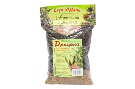 Грунт для драцены комнатной: в какую землю нужно сажать цветок в ...