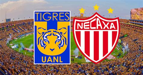 Tigres Vs Necaxa En Vivo Dónde Ver En Tv Online Y Hora Jornada 1 Liga