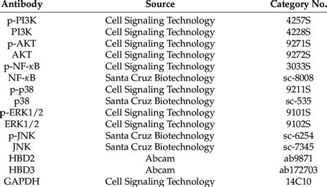 Antibodies used for Western blot analysis. | Download Scientific Diagram