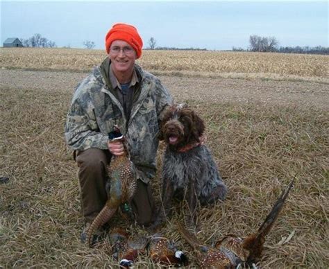 Dakotah Wirehaired Pointing Griffons | Hunting Dog Breeders