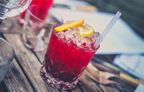 Las mejores recetas de cócteles de vodka con arándanos rojos Bebidas