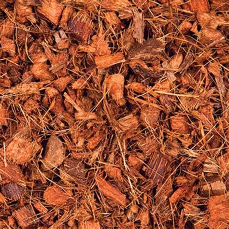 Kg Coco Chips Coconut Shell Coir Mulching For Orchid Adenium Lazada