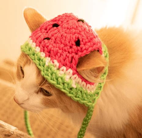 Cat In The Hat Crochet Pattern