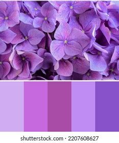 Color Palette Appropriate Photo Beautiful Bright Stock Photo