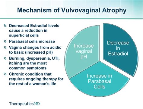 Hyundai Lease Program: Vaginal Atrophy Symptoms