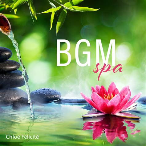 Bgm Spa Musique Zen Apaisante Pour Massage Et Méditation Album By