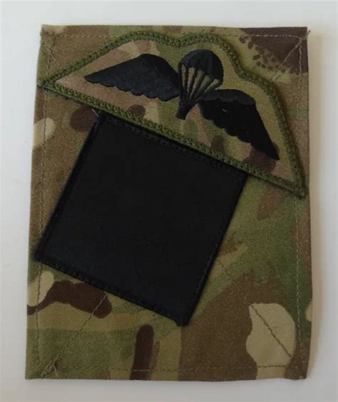 British Army 4th Battalion Parachute Regiment Mtpblanking Panelpara