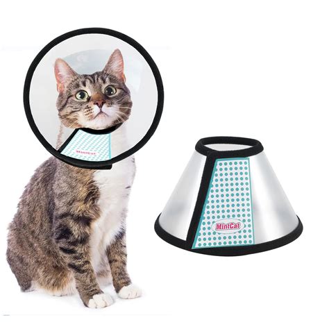Cat Cone Alternatives For Recovery Vetstreet Vetstreet, 42% OFF