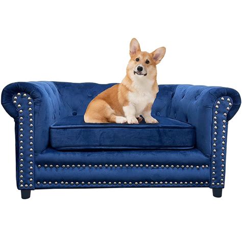 15 Best Luxury Dog Beds