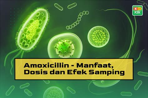 Amoxicillin Manfaat Dosis Dan Efek Samping K24Klik