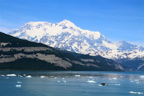 Mount Saint Elias in Alaska Photographed from Icy Bay, Alaska, United ...