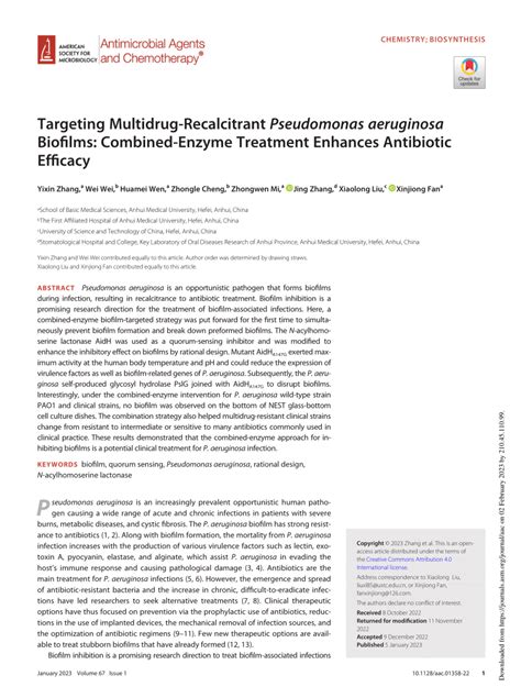 Pdf Targeting Multidrug Recalcitrant Pseudomonas Aeruginosa Biofilms