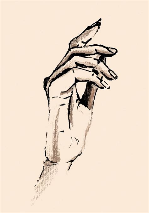 Premium Vector | Hand drawn pencil sketch of hand gesture