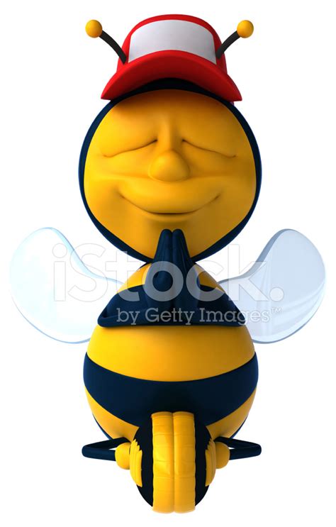 Fun Bee Stock Photo Royalty Free Freeimages