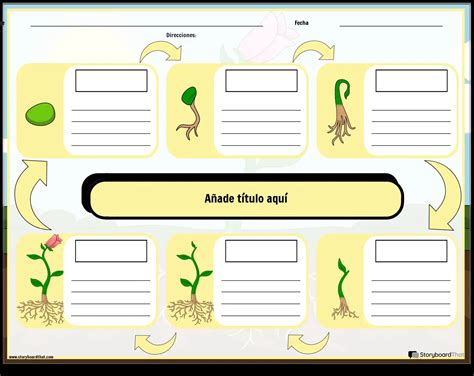Hoja De Trabajo Del Ciclo De Vida De Una Planta