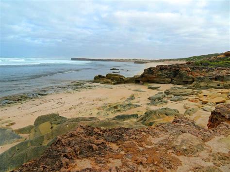 Cactus Beach South Australia Australias Top Surf Beaches