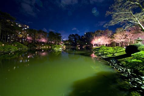 縮景園で夜桜特別開園が始まりました｜広島観光情報総合サイト 旅やか広島