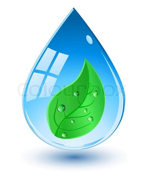 Water Drop With Green Leaf Stock Vector Colourbox