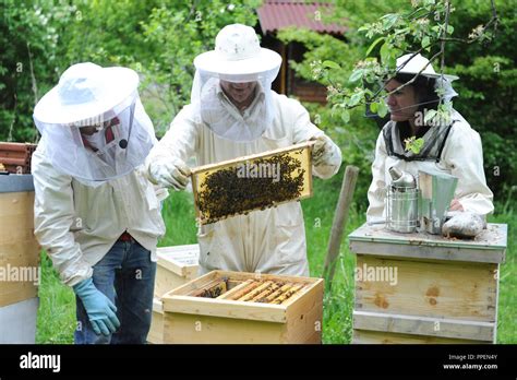 Beekeeper Course Hi Res Stock Photography And Images Alamy