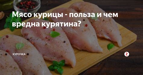 Мясо курицы - польза и чем вредна курятина? | Курочка | Дзен