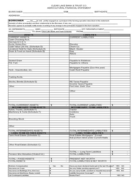 Agricultural Financial Statement Blank Bonds Finance Farms