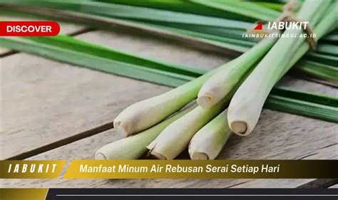 Intip Manfaat Minum Air Rebusan Serai Yang Jarang Diketahui Discover