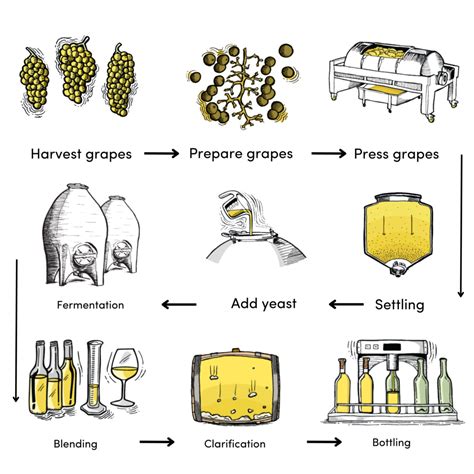 How Long Does It Take To Complete Fermentation Process In Case Of White