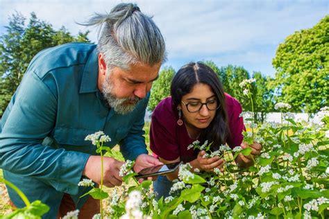 Los bioinsumos una alternativa para avanzar hacia una transición