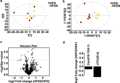 Global Lipidome Response To A High Fat Diet In The Kaili Sour Soup