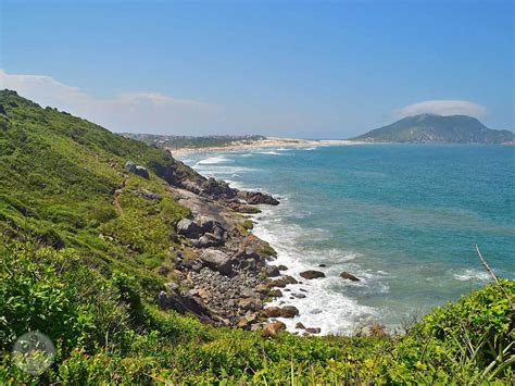 Melhores Trilhas Em Floripa Aventure Se Nas Trilhas De Floripa