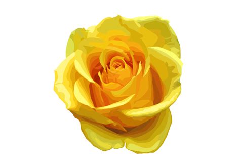 Free Yellow Rose Png Download Free Yellow Rose Png Png Images Free