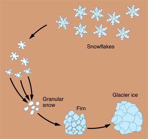 PHYSICAL GEOG GLACIATION Flashcards Quizlet