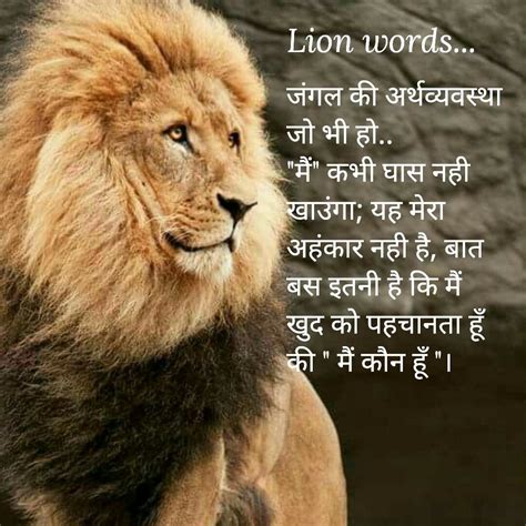 Lion in hindi with subtitles - lascards