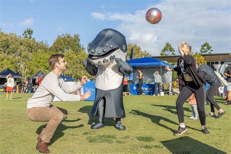 Gallery Hervey Bay Whale Festival