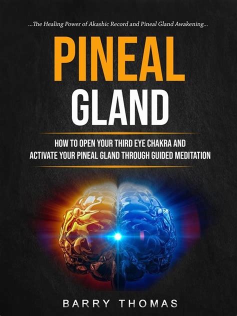 Pineal Gland How To Open Your Third Eye Chakra And Activate Your