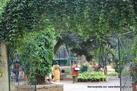 Bannerghatta Zoo