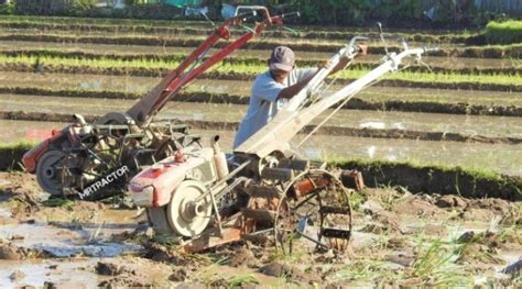 Detail Gambar Alat Pertanian Tradisional Koleksi Nomer 31