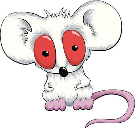 Best White Footed Mouse Illustrations Royalty Free Vector Graphics