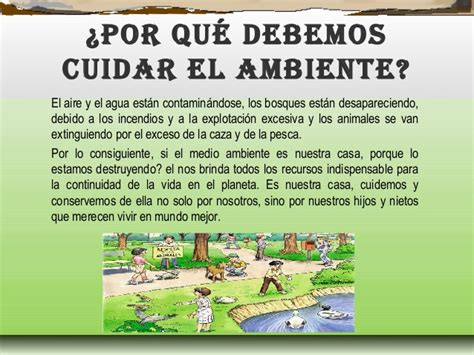 Como Debemos Cuidar El Ambiente Imagui