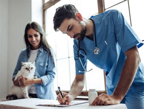 Ortopedista Especialista em Gatos HOSPVET Clínica Veterinária em Londrina