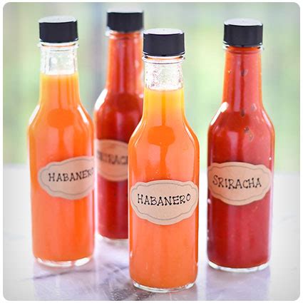 Face Melting Hot Sauce Gift Sets For Chili Heads Dodo Burd