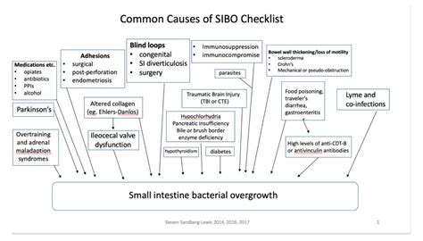 SIBO - is it the cause of your bloating (and so much more)? - Dr. K Mudry, ND Online ...