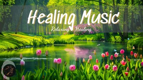 Relaxing Piano Music Healing Music For Health And Calming The Nervous