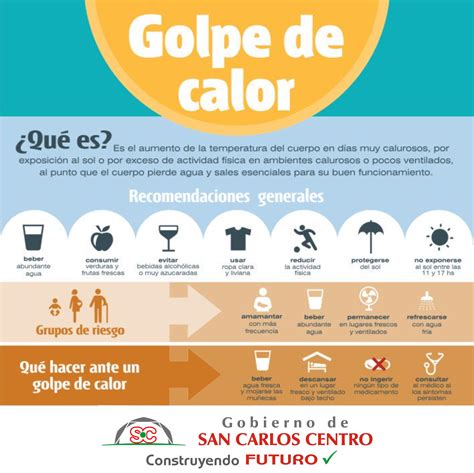 Triptico Golpe De Calor