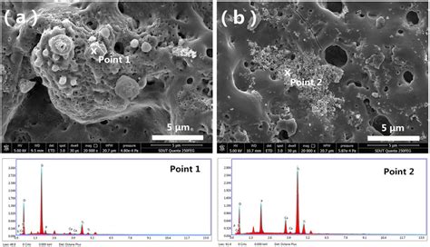 Surface Morphology And Elemental Composition Of The Mao Coated Samples