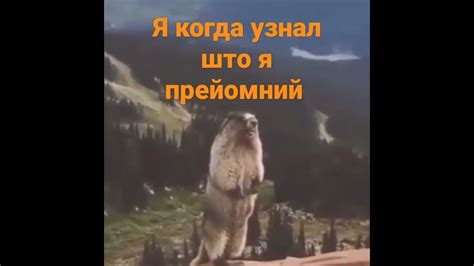 я когда узнал што я прейомний - YouTube