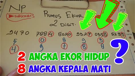 2 DIGIT EKOR HIDUP DAN 8 EKOR MATI SIDNEY RUMUS JITU DAN AKURAT EKOR